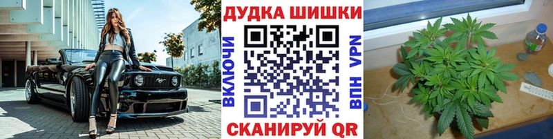 Купить где  Белоозёрский  Конопля Bruce Banner 